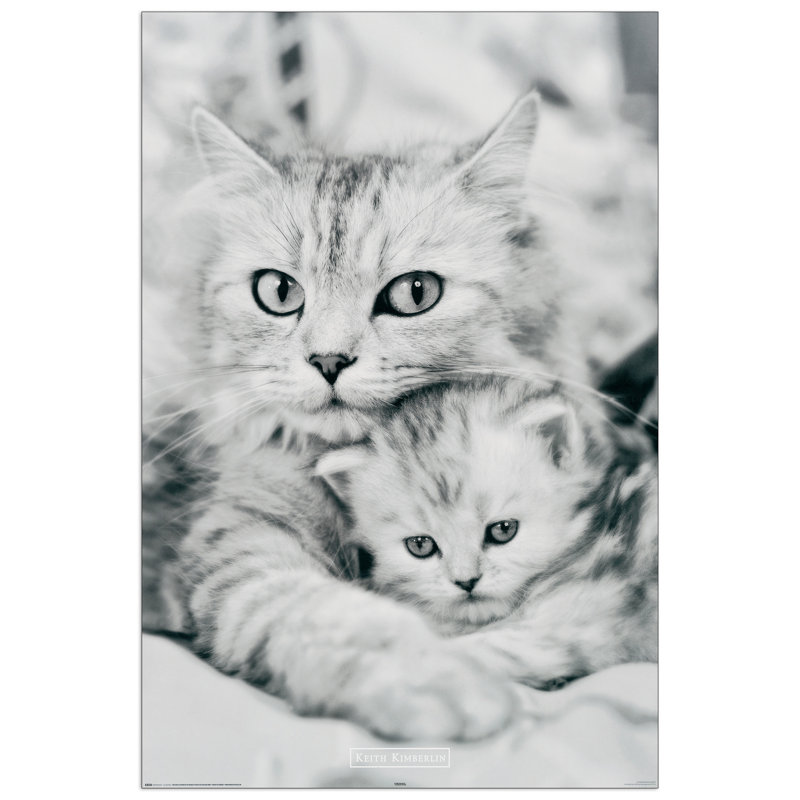 Kimberlin - Single Picture Frame Print