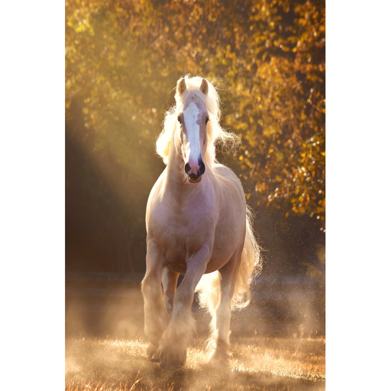 Horse Motion 8, H 12 po x l 8 po x P 1,25 po