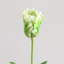 Tulip Faux Floral-1888593888