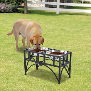 PawHut Double Stainless Steel Heavy Duty Dog Food Bowl Elevated Pet Feeding  Station 17 inches