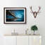 Sydney Harbour Bridge in Australia in Abstract - Picture Frame Graphic Art Print-55728467-55728472