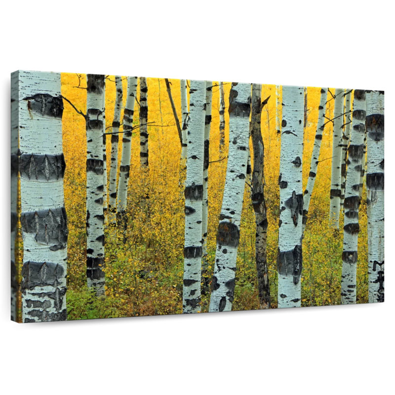 Harnek Abstract Aspen Tree, 16" H x 24" W