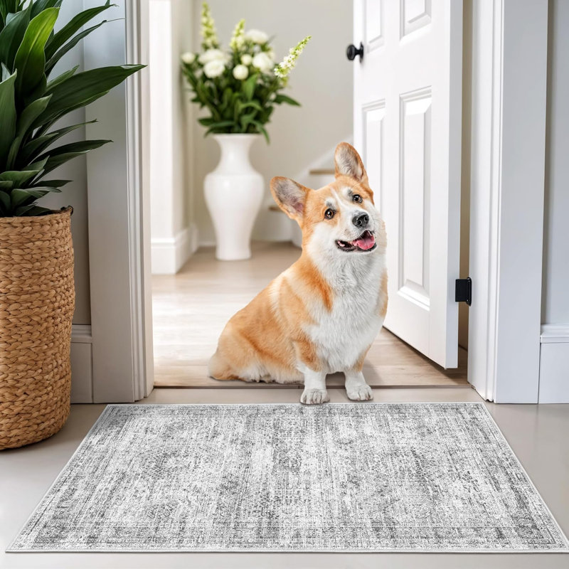 Vintage Distressed Non Slip Washable Rug(Grey), Rectangle 2' x 3'