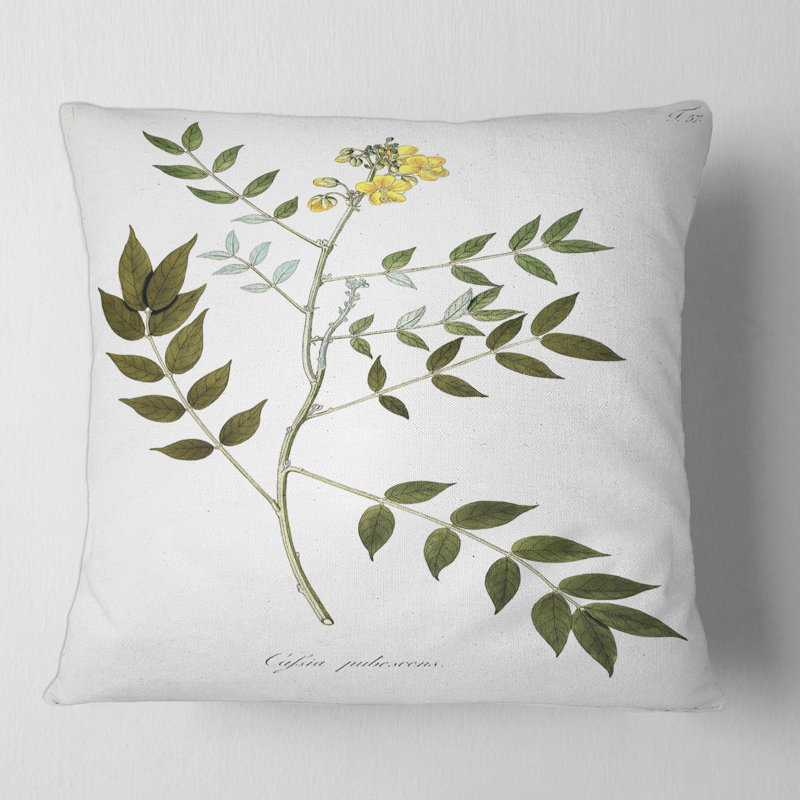 Vintage Botanicals XVIII - coussin traditionnel imprimé, 16" x 16"