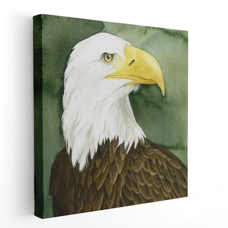 Bald Eagle Stare I - Canvas Print Wall Art, 24" H x 24" W