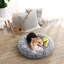 Beavercreek Orthopedic Suede Pet Bed