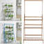Hunley Plant Stand 3 Tier-951594560-951594561