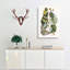 Butterfly & Mano Tree by Mark Catesby - Wrapped Canvas Painting-55312941