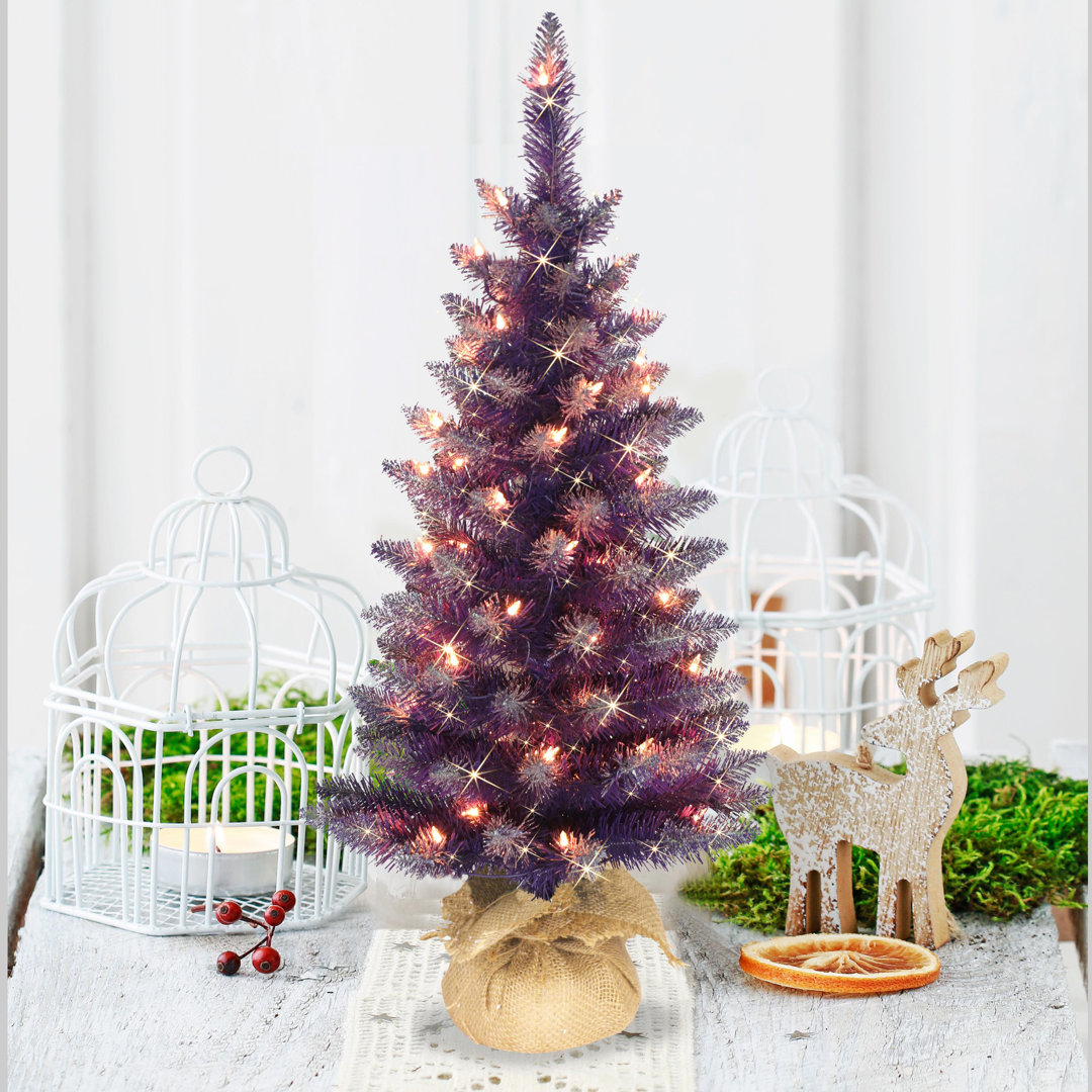 3' Lighted Spruce Christmas Tree The Holiday Aisle®