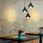Hartshorne 3 - Light Cluster Pendant