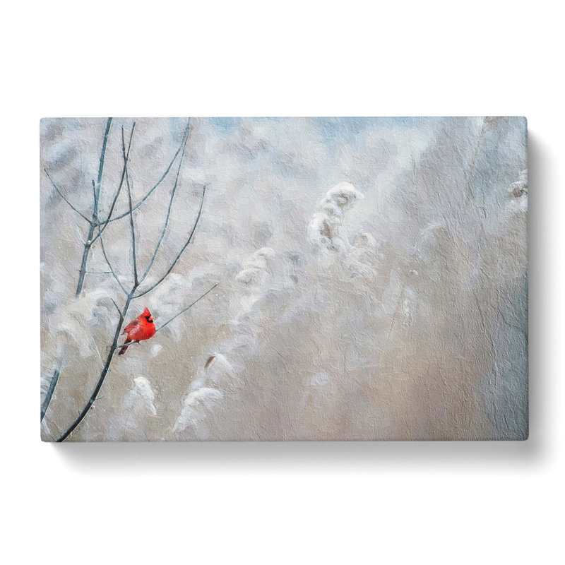 Cardinal Bird - Wrapped Canvas, 50cm H x 76cm W x 3cm D