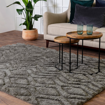 Peck Geometric Shag Area Rug