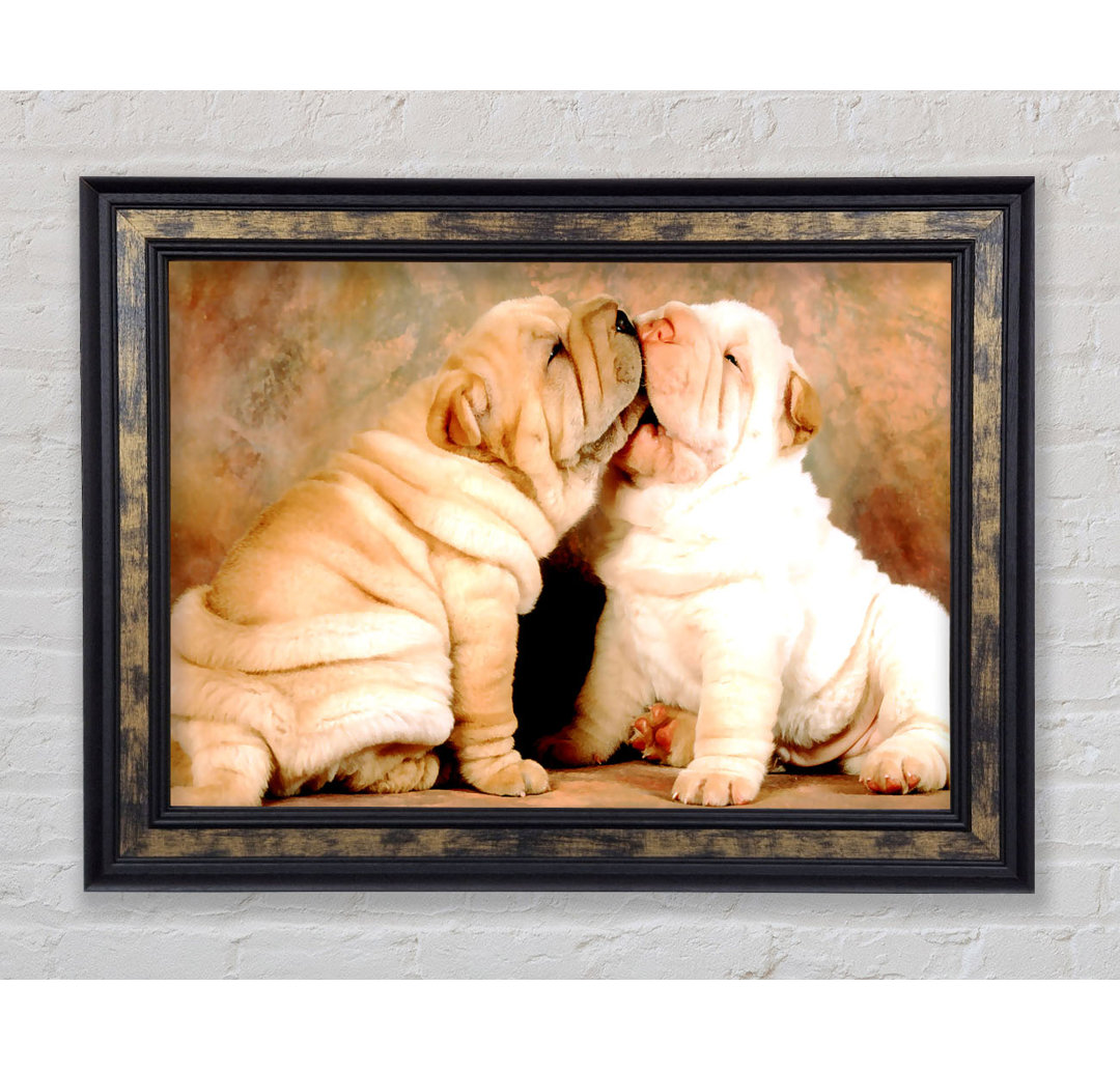 Shar Pei Welpen - Drucken