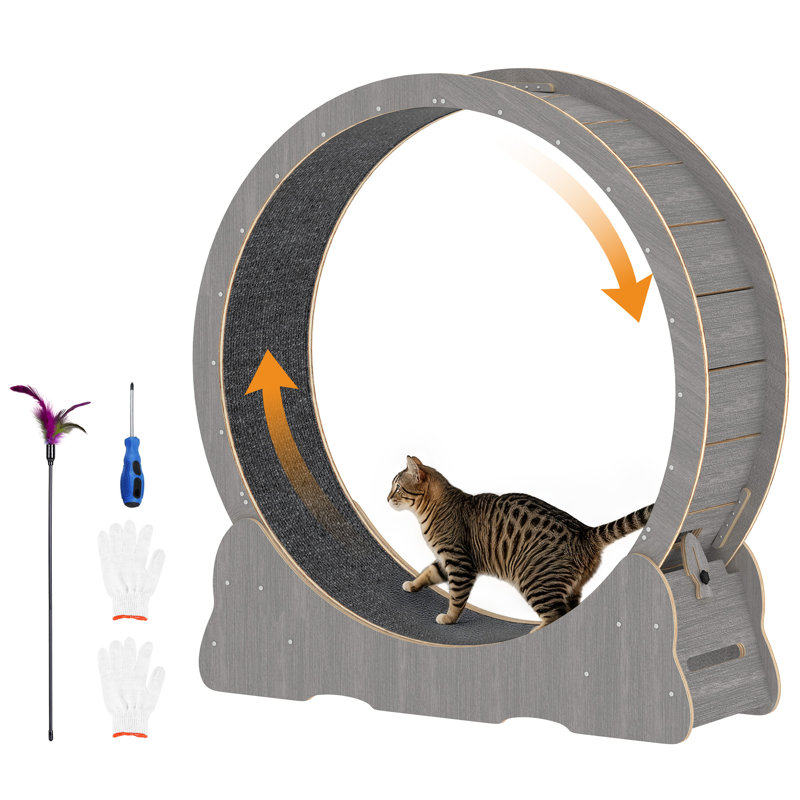 Tapis roulant d'intérieur pour animal de compagnie