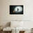 Chick From Egg-107887000