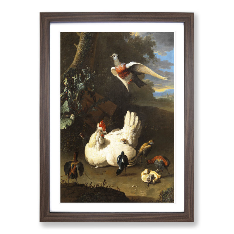 Poultry and Pigeon by Melchior D'Hondecoeter - Picture Frame Painting, 48cm H x 36cm W x 2cm D, Walnut Framed