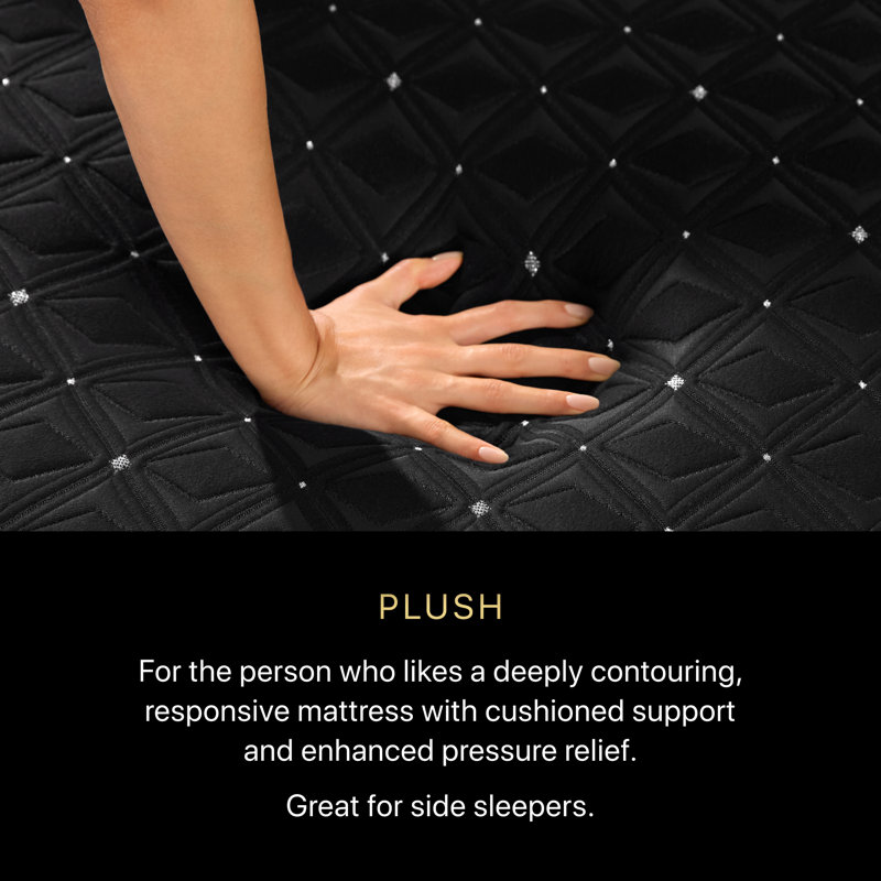 Black Series Three Plush 14.5" Hybrid Mattress, Queen