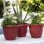 Ensemble de pots de fleurs d'intérieur / extérieur à arrosage automatique 6 po Ariana-88036106-91832511-92162957