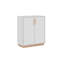 Aurigemma Modern Storage Unit Accent Chest