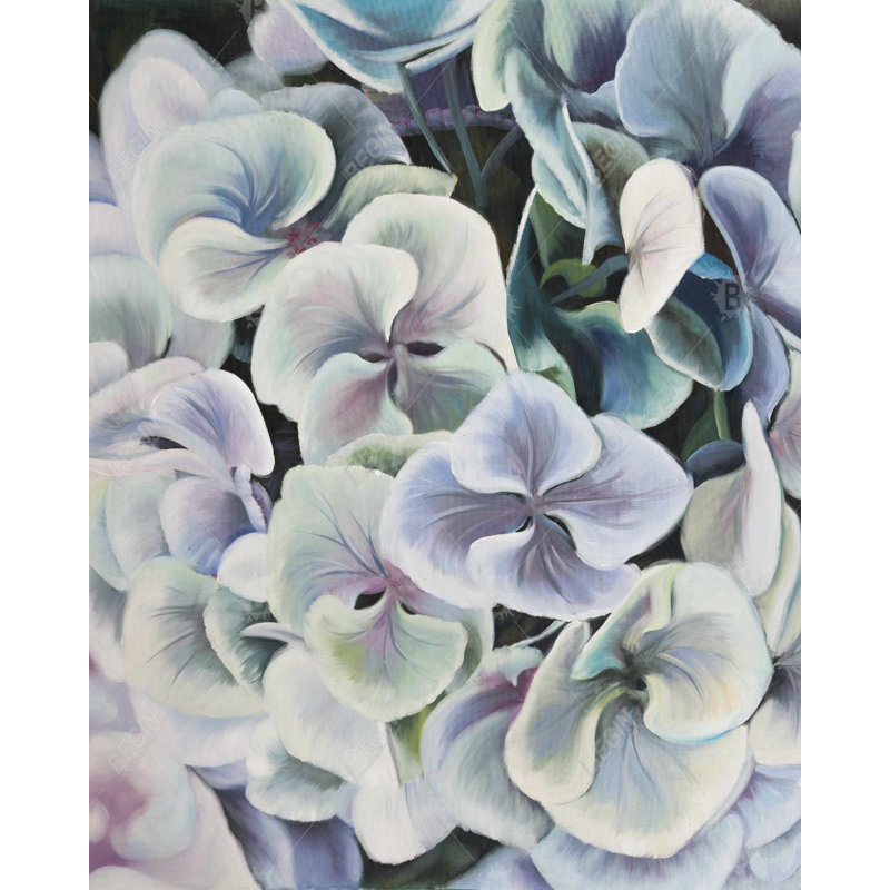 Colorful Hydrangea Flowers Canvas | Floral Living Room Decor