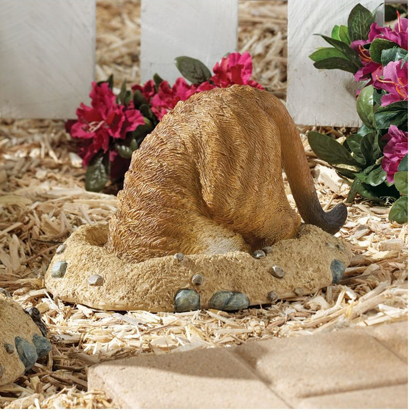 Statue kalahari into hole Meerkat