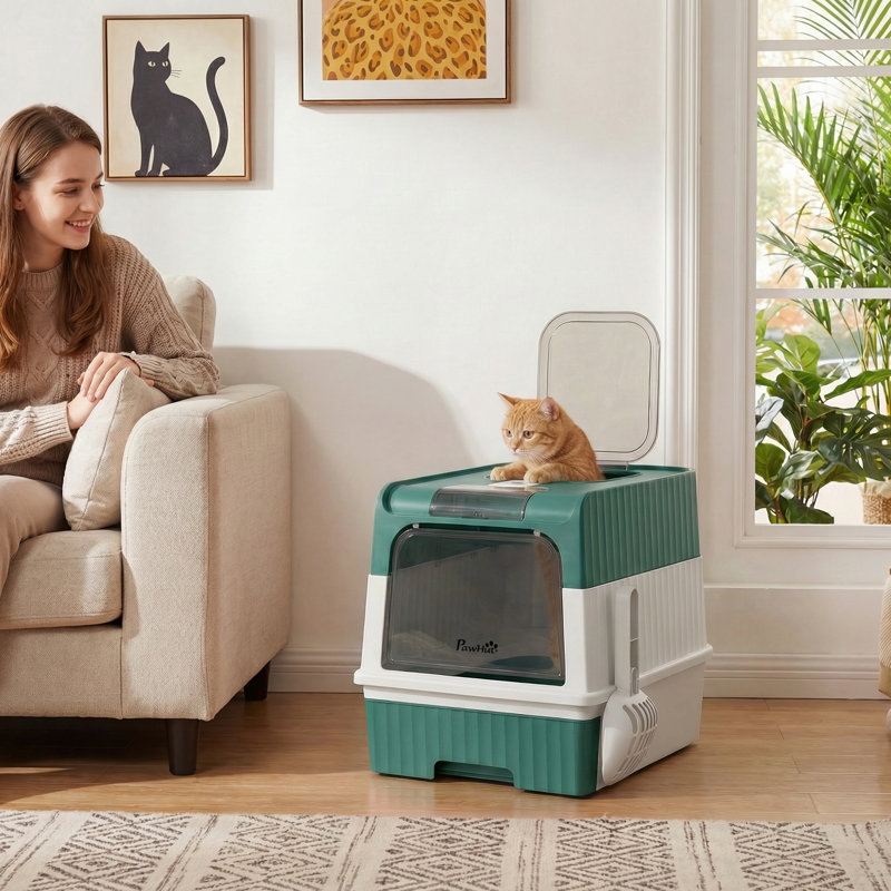 Plastic Enclosed Litter Box with Top Entry Door