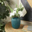 Cole et feuillage naturel en tissu gris avec feuilles vertes et vase rond en céramique