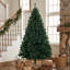 Christmas Tree-1032243275
