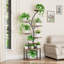 Betsabe Plant Stand