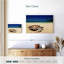 Tortue Brampt sur la plage-107720892