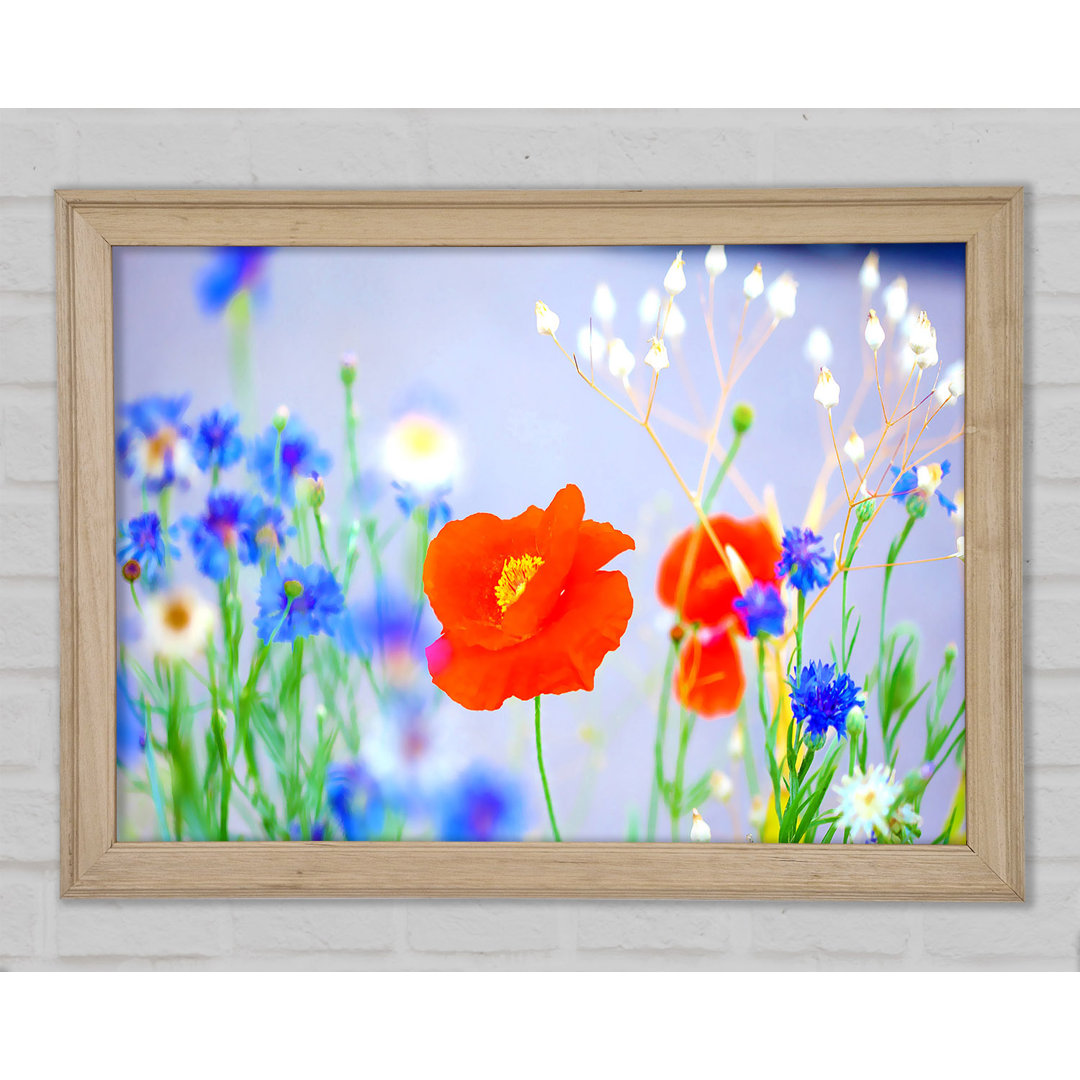 Lovely Poppy Garden - Einzelner Bilderrahmen Kunstdrucke