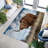 Artistic Floral Pattern With Pile Soft Printed Rug Offering Comfortable Underfoot Experience and Stylish Indoor Decor Enhancement-601927740