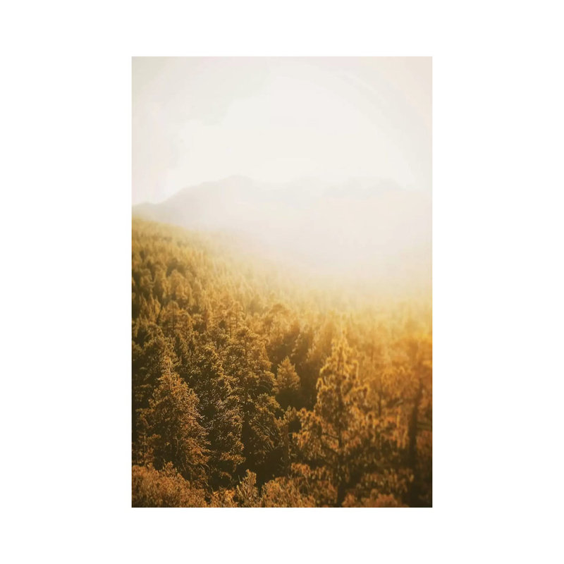 Golden Forest by Leah Straatsma - Wrapped Canvas Print, 30.48 cm H x 45.72 cm W