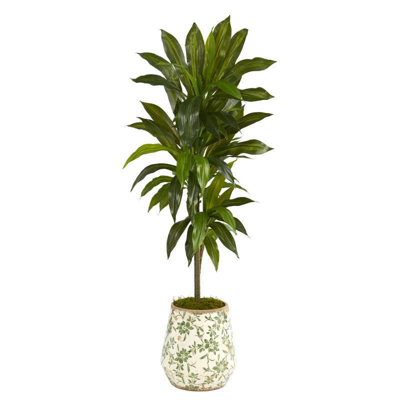 48 "Dracaena artificiel dans un pot de fleurs