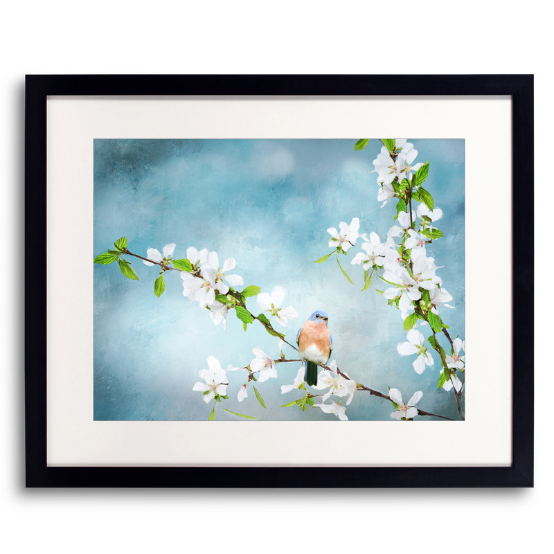 Blue Birds In Cherry Blossoms 2, Black Framed Paper, 16" H x 20" W