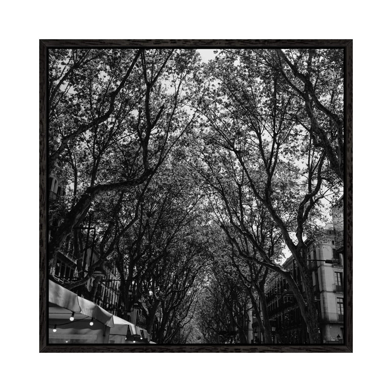 La Rambla by Bethany Young - Print on Canvas, 93.98cm H x 93.98cm W x 3.81cm D, Black Framed