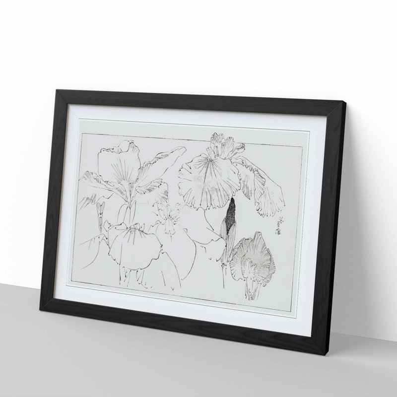 Iris Illustration by Watanabe Seitei - Picture Frame Painting Print, Black, 60cm H x 91cm W x 2cm D