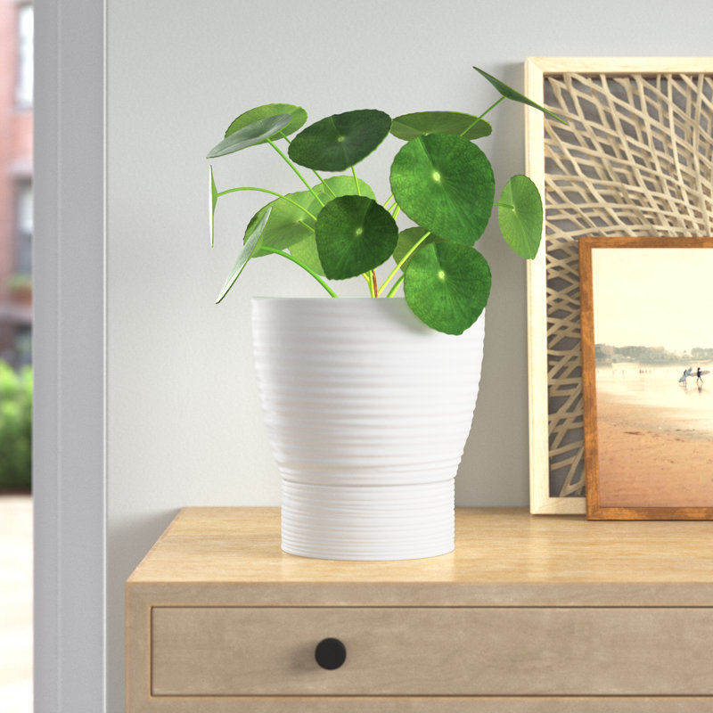 Canella Ceramic Pot Planter, 9.25" H x 8.5" W x 8.5" D