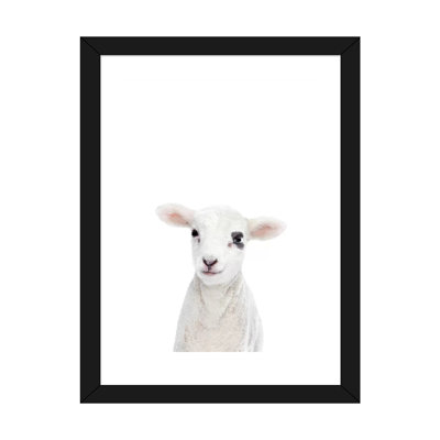 «Baby Lamb» par Sissi & Seb - impression d'art graphique