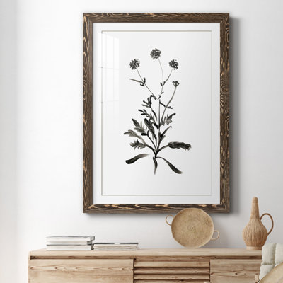 Inky Botanical I - peinture encadrée