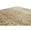 Southwestern Area Rug in Beige