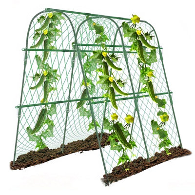 120 cm H x 120 cm W Steel Arched Trellis