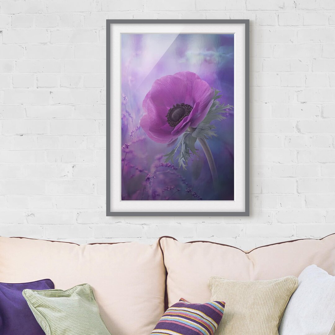 Gerahmtes Papierbild Anemonenblüte in Violett