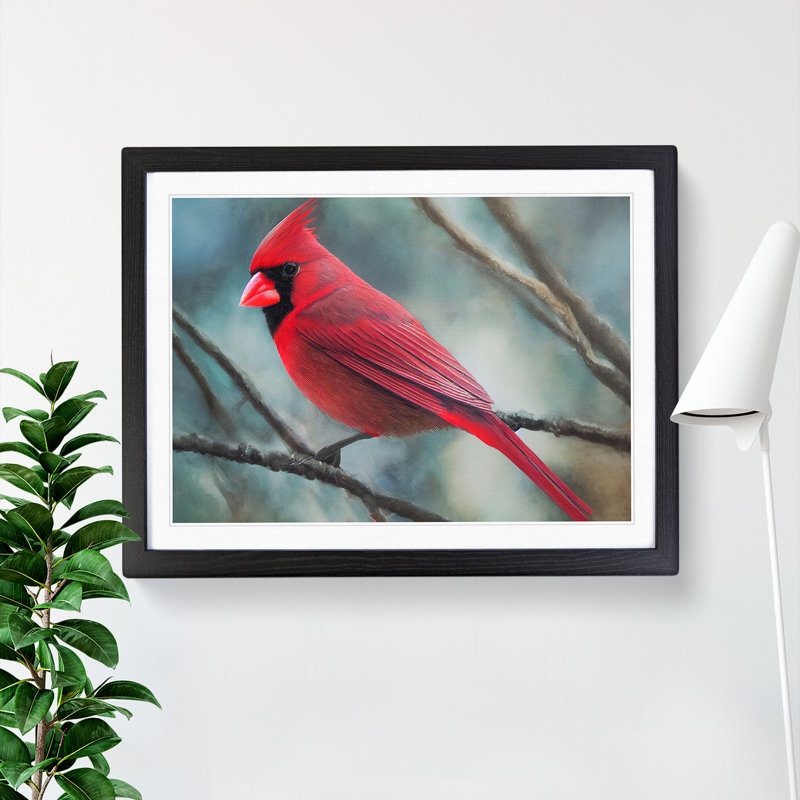 Cardinal Bird Vol.5 - Single Picture Frame Print, Black Framed, 25cm H x 34cm W x 2cm D