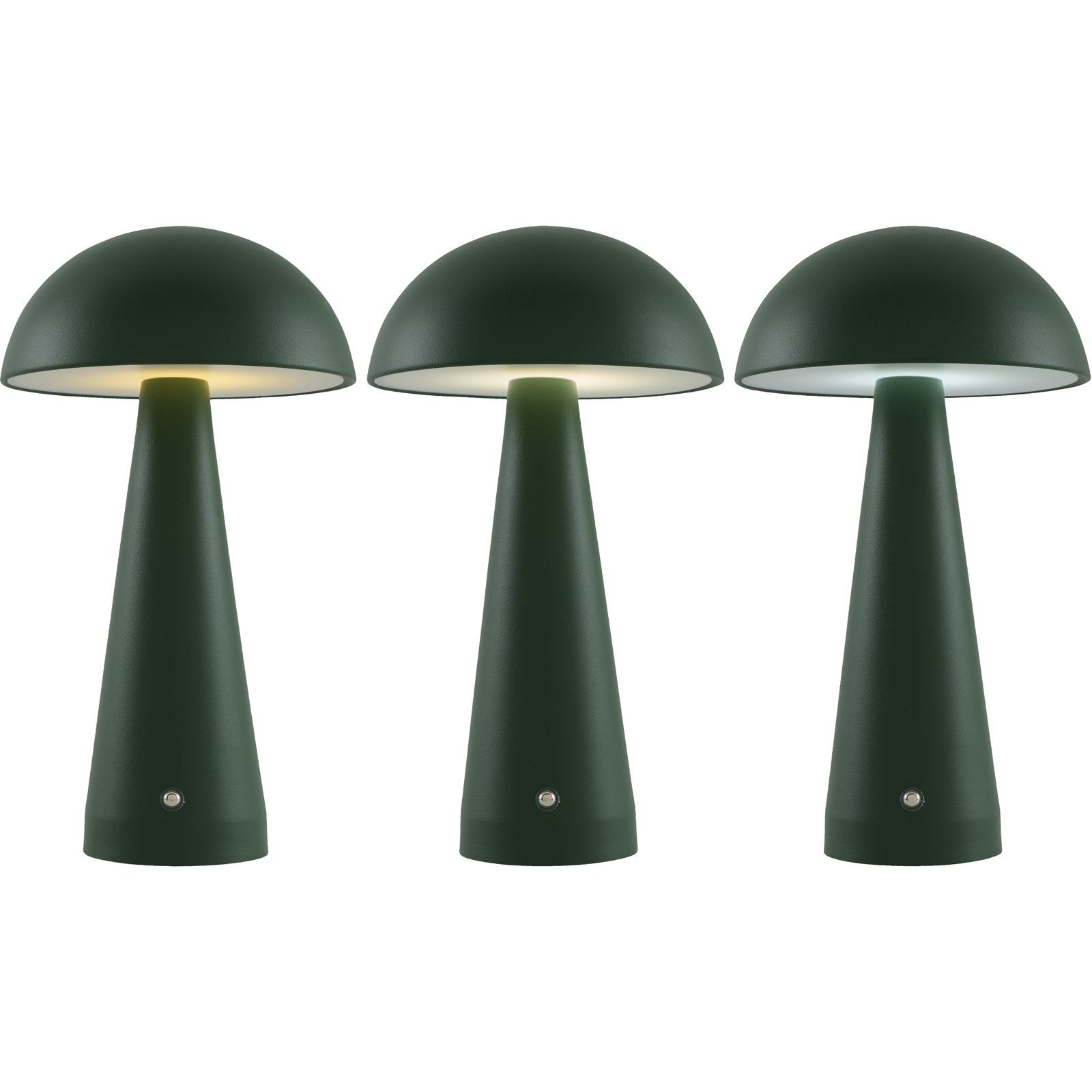 Celisa Table Lamp