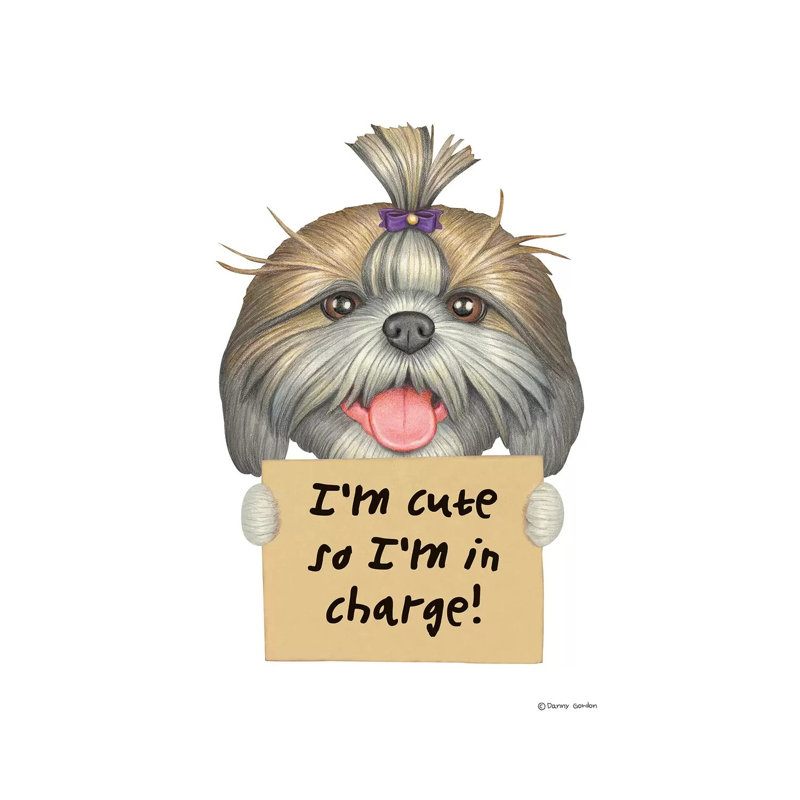 Shih Tzu, je suis mignon, H 26 po x l 18 po x 1,5 po