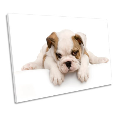Cute British Bulldog Puppy - Wrapped Canvas Print