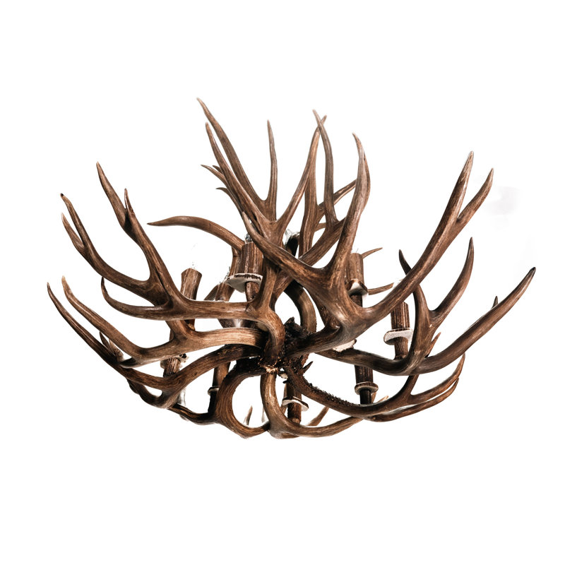 Reagan 8 - Light Chandelier, Natural Brown