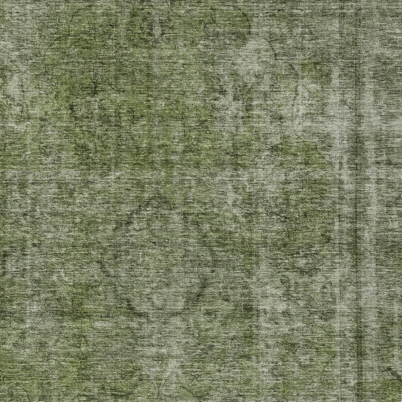 Tapis intérieur / extérieur 8 pi x 10 pi vert et argent