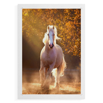 Chevaux de cheval - impression sur toile seulement - non encadrée